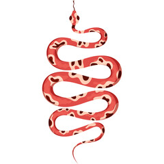 Stylized Coral Snake With Abstract Brown Spots Against A White Background Delicate Creature Winding Upwards In A Vertical Orientation