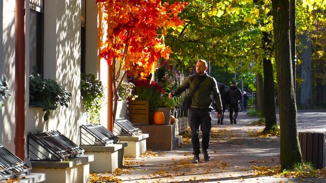 Tourism in Kaliningrad. A man strolls through the autumn streets of Svetlogorsk, surrounded by autumn leaves.