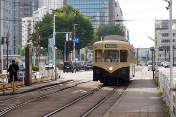 Fototapeta premium 夏の晴れた日の日中に都市部の道路を走るレトロなクリーム色の路面電車を捉えたスナップ写真です