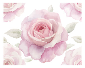 Romantic Watercolor Pink Rose Illustration