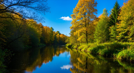 Fototapeta premium Autumn River Flowing Through Forest with Golden Leaves