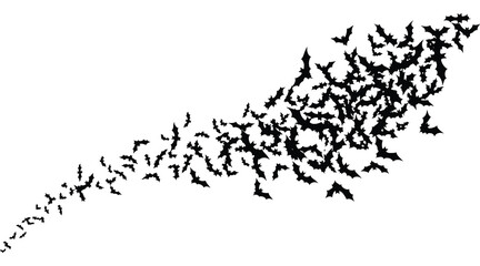 Vector art of a dynamic swarm of bats in silhouette, creating a sense of movement and mystery