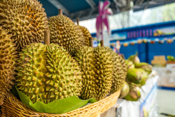 Whole durians bunch displayed in baskets at exotic tropical fruit stall at a local street market.