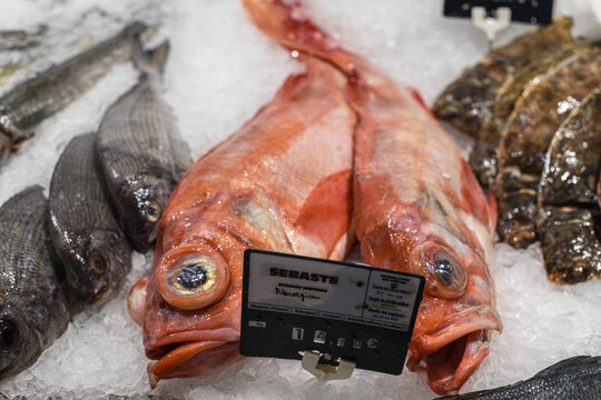 Redfish for sale at a fishmonger's stall