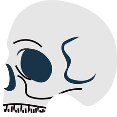 Stylized illustration of a human skull in profile view with dark blue eye socket and black details on a transparent background