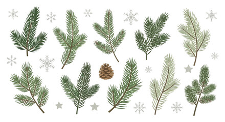 Evergreen Branches and Snowflakes A Festive Winter Botanical Set