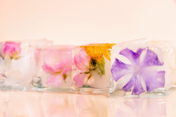 Four ice cubes in a row with different summer flowers frozen inside. The ice cubes are set against a pink background. Copy space for advertisement