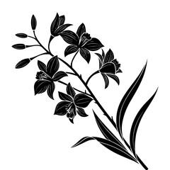Sophisticated Black Branch of Bletilla Striata Flowers Silhouette Vector Illustration. Asian Ground Orchid, Decoration Graphic Design Element, Tattoo Idea, Minimalist Blossom Outline.