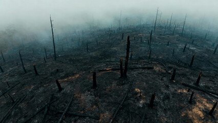 Aerial view of a charred forest landscape, hazy atmosphere and deep perspective. ESG reports, sustainability campaigns, designed for environmental awareness campaigns.