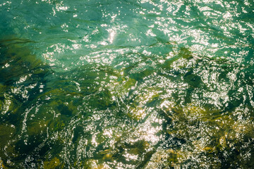Sunlight reflecting on the surface of clear turquoise water with visible seaweed and rippling textures, creating a natural abstract pattern