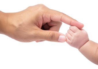 Comparing the size of a father's hand to his newborn baby's hand. Isolated on transparent or white Background