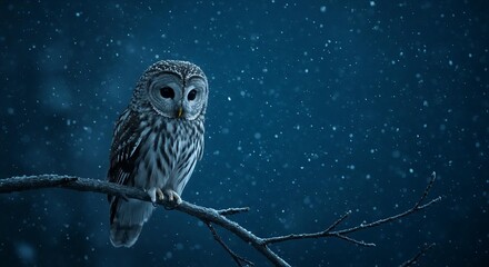 a small owl perched on a branch as the snow falls.