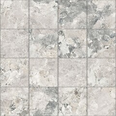 Obraz premium Gray and white marble-patterned tile flooring with natural veining and square grid layout