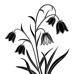 Fritillaria Flower Silhouette Vector. Elegant Floral Design Illustration with Botanical Stem Art. Delicate Monochrome Graphic Nature-Inspired Drawing Line Art Composition.