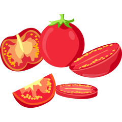 Whole and sliced ripe red tomatoes with green stems and visible seeds and pulp isolated on a white background fresh produce healthy food and organic ingredient illustration