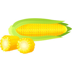 Whole Corn Cob With Husk And Two Halves Of Corn On White Background