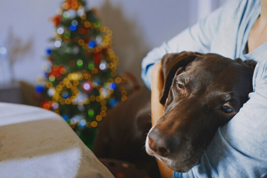 Woman hugging dog near decorated Christmas tree at home