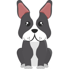 Cartoon French Bulldog Sitting Front View With Big Eyes And Black And White Fur With Pink Ears And A White Patch On Its Face Isolated On Transparent Background