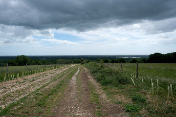 Rural dirt track through open fields with young trees and dramatic storm clouds over the South Downs landscape in West Sussex.