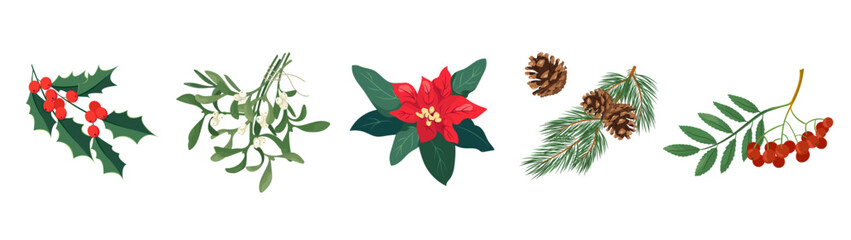 Vector collection of winter plants and Christmas decor elements: holly, mistletoe, poinsettia, pine cones and rowan branch. Design elements for holiday cards, wrapping paper, festive seasonal decor © Катерина Фирсова