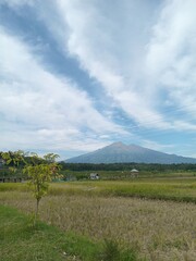 Beautiful rural landscape with Mount Merbabu in the background, rice fields after harvest, blue sky, and scattered clouds creating a peaceful natural scene in Central Java, Indonesia.