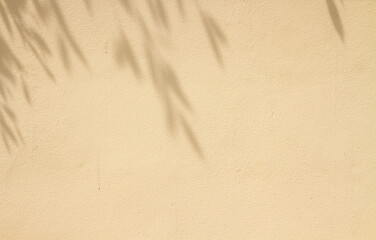 natural light and shadow drop on beige wall. abstract textured and background