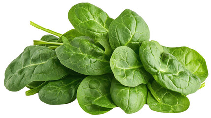 Fototapeta premium Fresh Spinach Leaves Bunch isolated on a transparent background