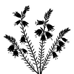 Enchanting Black Silhouette Floral Bouquet Vector Art, Delicate Design Element of Heather Bell for Botanical Illustrations, Invitation Cards, and Nature Décor.