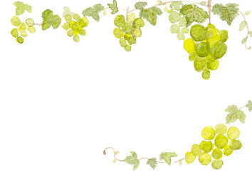 水彩シャインマスカットのフレーム