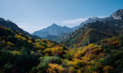 Naklejka premium autumn in china, the mountain is full with different colors .