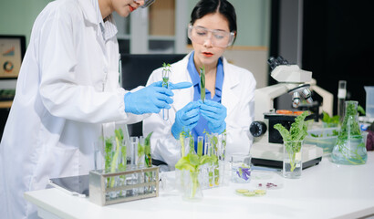 Asian food scientists in lab coats analyze vegetables with microscope for biotech, nutrition, and safety testing. Lab tubes, gloves