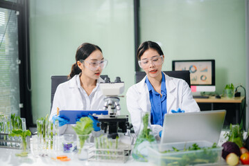 Two Asian female scientists analyze green plants and vegetables in biotech lab. Microscopes, notes,...