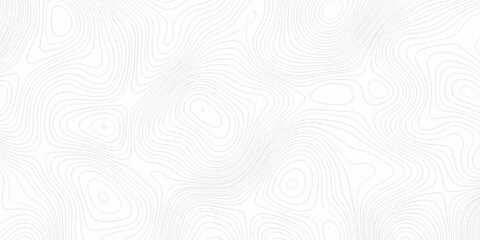 Modern topo map design White background with topographic world grid wave Topographic map geographic line texture.	