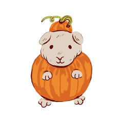 Adorable Guinea Pig Dressed as a Pumpkin for Autumn.