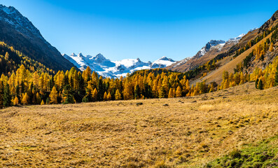 Autumnal view of the Roseg Valley, Switzerland, with trees and autumn colors.
