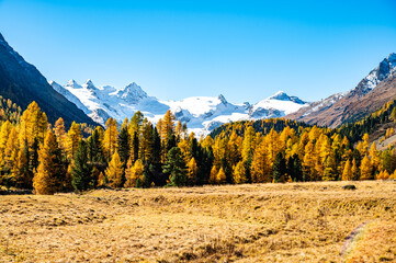 Autumnal view of the Roseg Valley, Switzerland, with trees and autumn colors.
