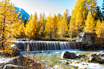 Autumnal view of the Roseg Valley, Switzerland, with trees and autumn colors.