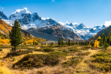Obraz premium Autumnal view of the Roseg Valley, Switzerland, with trees and autumn colors.