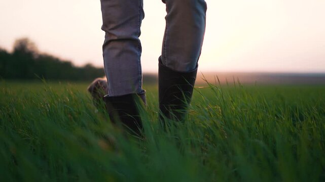 Walking through tall grass at sunset two boot and pant clad leg walk across green field and meadow near distant horizon in quiet nature outdoor setting with soft light and gentle motion slowly