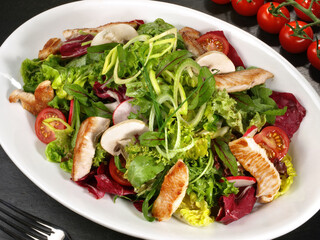 Fresh Mixed Salad with grilled Turkey