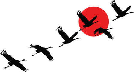 Fototapeta premium Silhouettes of graceful cranes flying in formation against a vibrant red sun on a white background