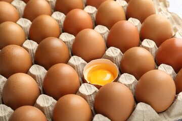 Many whole raw chicken eggs and broken one in carton, closeup