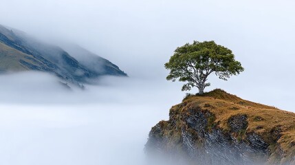 Majestic and Solitary Broadleaf Tree Standing Tall on Cliff Edge Amidst a Mystical Foggy Landscape