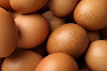 Many raw chicken eggs as background, closeup