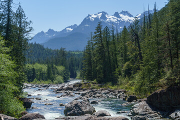 Rugged river flows through a forest toward mountains