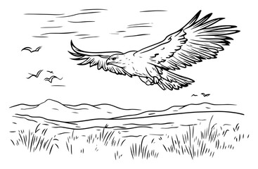 Majestic eagle soaring above wild landscape detailed line art engraving
