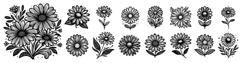 Fototapeta premium Blooming daisy bouquet and ornamental floral elements set detailed engraving botanical vector collection