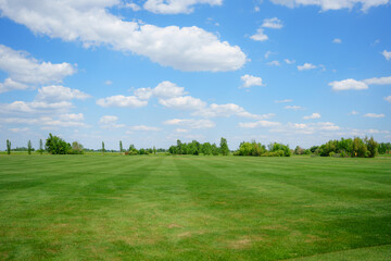 Expansive green landscape under a bright blue sky