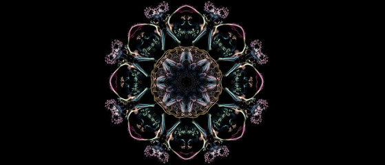 symmetric, astonishing haunted botanical-inspired mandala twisted on center of black background