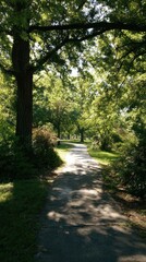 A serene path lined with lush trees, creating a peaceful atmosphere perfect for walking and enjoying nature.